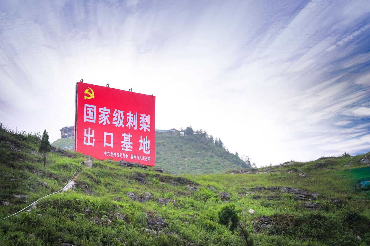 图片10.png 图片10.png